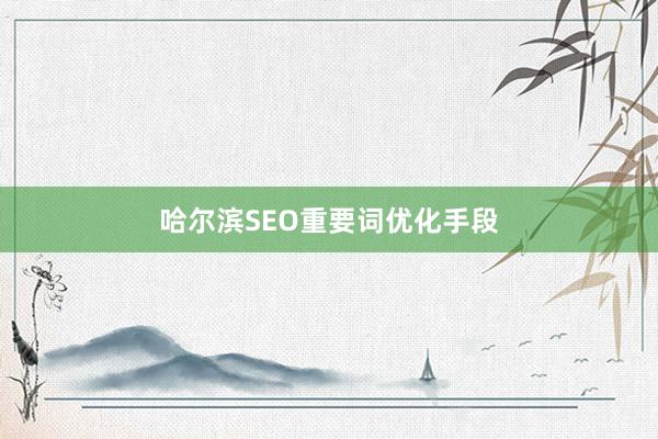 哈尔滨SEO重要词优化手段