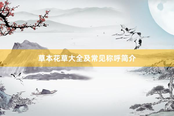 草本花草大全及常见称呼简介