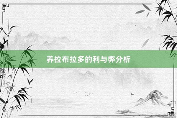 养拉布拉多的利与弊分析