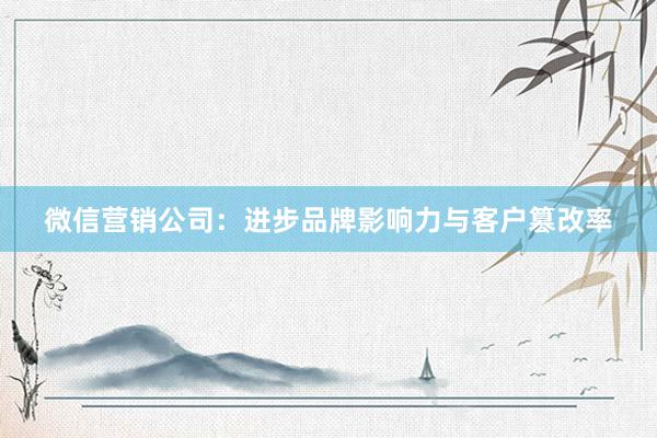 微信营销公司：进步品牌影响力与客户篡改率